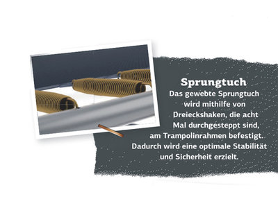 Berg InGround Favorit 330 grn mit Sicherheitsnetz Comfort