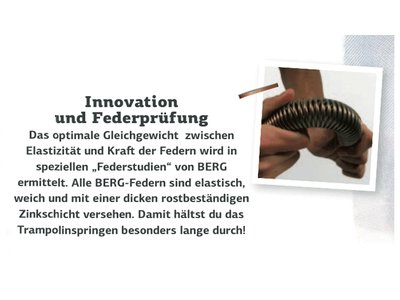 Berg Inground Champion 330 grn mit Sicherheitsnetz Deluxe