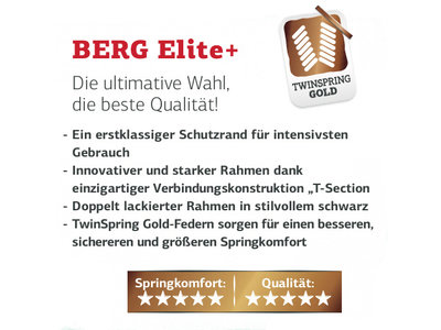 Berg InGround Elite 330 grn mit Sicherheitsnetz Deluxe