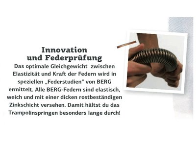 Berg Inground Champion 330 grau